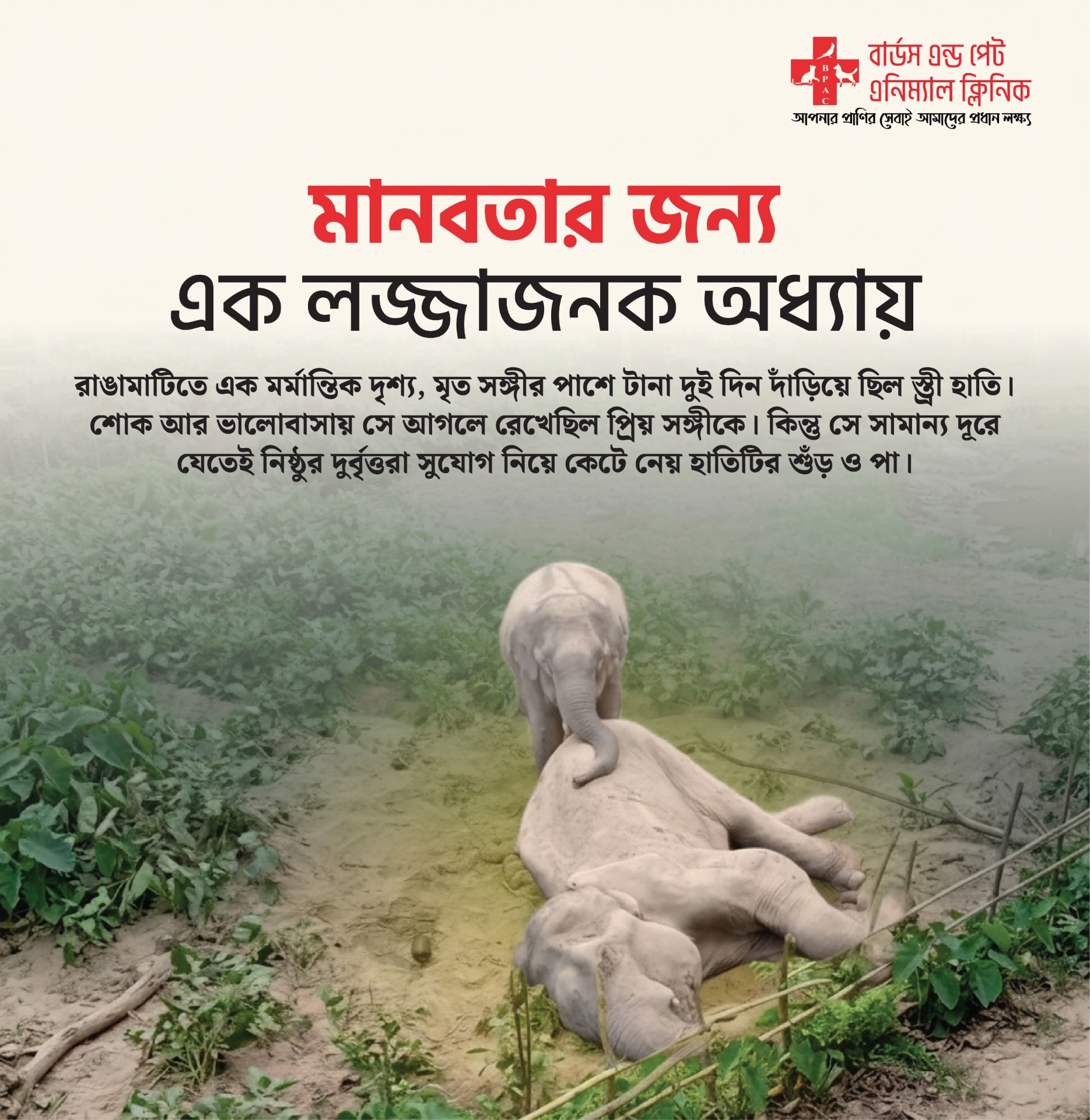A shameful chapter for humanity