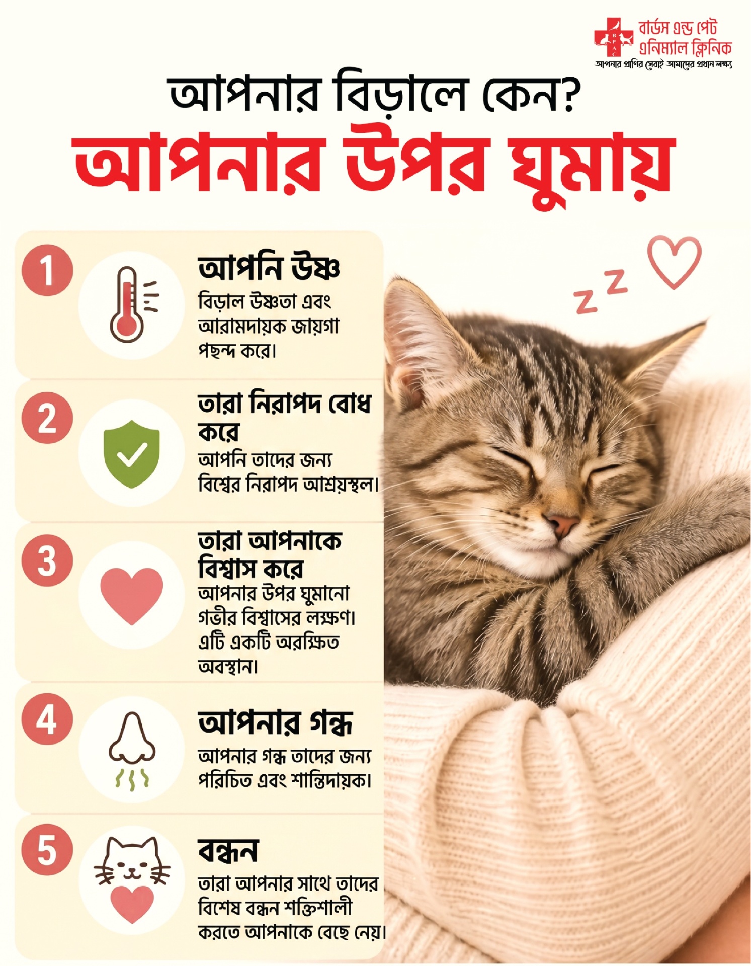 Why your cat sleeps on you